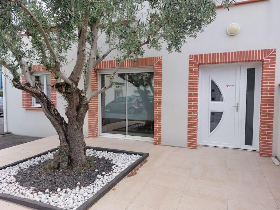 T3 Climatise, Parking Et Jardin Quartier Des Marots A Colomiers Daire Dış mekan fotoğraf